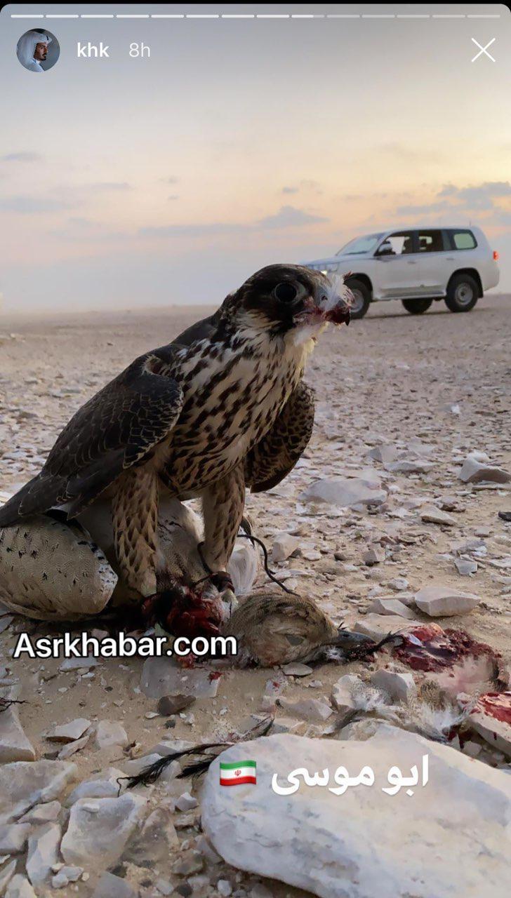 حضور برادر امیر قطر در جزیره ابوموسی ( عکس) حضور برادر امیر قطر در جزیره ابوموسی (