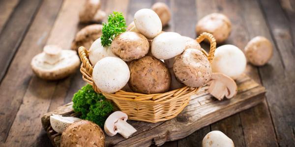 آشنایی با خواص درمانی و ارزش غذایی قارچ آشنایی با خواص درمانی و ارزش غذایی قارچ