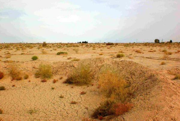 فرسایش 16 درصدی خاک در ایران فرسایش 16 درصدی خاک در ایران