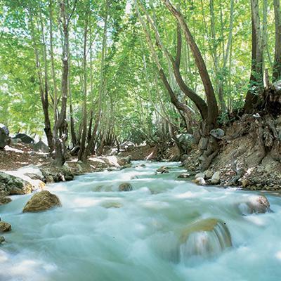 تنگ گنجه ای، گنجیه ای بی نظیر در یاسوج