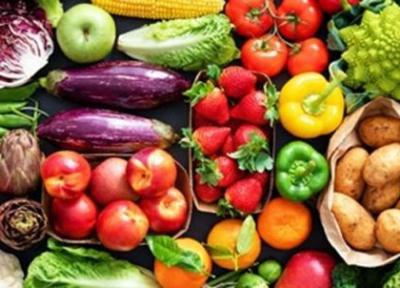تولید غذاهای فراسودمند، اجرای 4 پروژه ملی برای کاهش خطر ابتلا به بیماری های مزمن