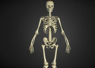 5 نشانه از اجداد باستانی انسان که هنوز در بدنمان یافت می شوند