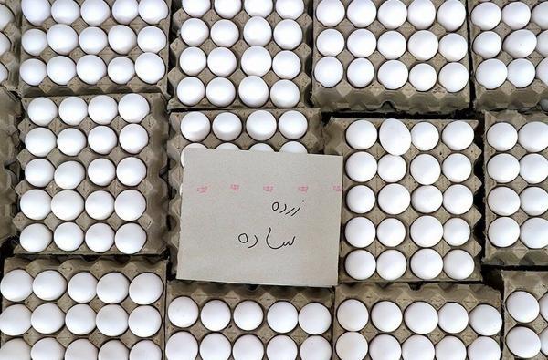 اخطار وزارت جهاد کشاورزی به مرغداران، تخم مرغ را گران کنید، تعزیراتی می شوید