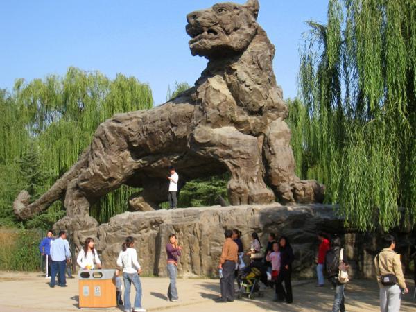 ملاقات با حیوانات کمیاب در باغ وحش پکن (Beijing Zoo)